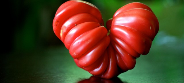 This is a Non-GMO Heirloom Tomato - Note the unique shape!!