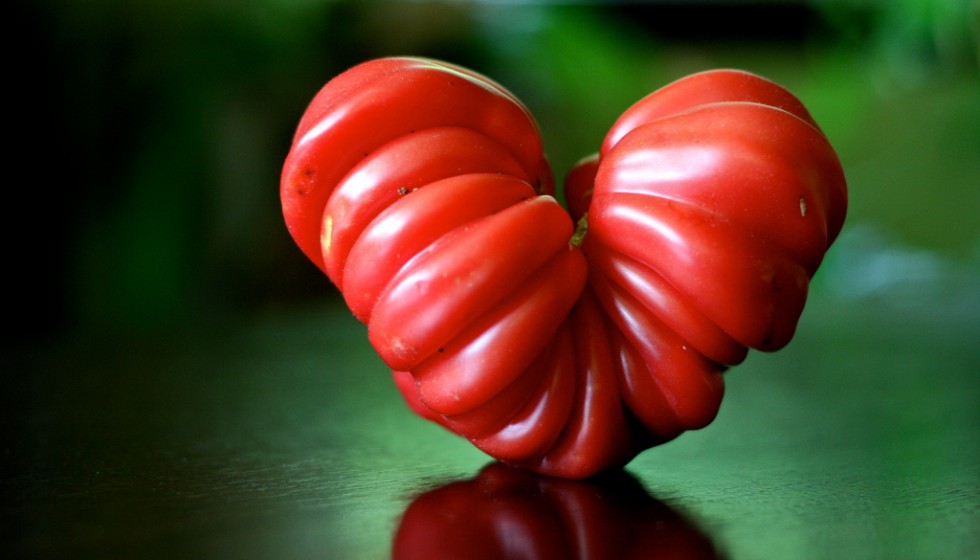This is a Non-GMO Heirloom Tomato - Note the unique shape!!