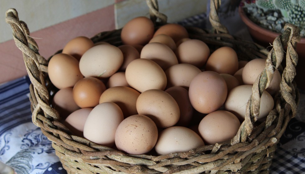 a basket of eggs